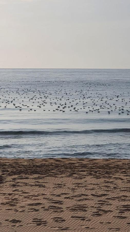 Vilasuites Beach, Sand & Menta Villajoyosa Exterior photo